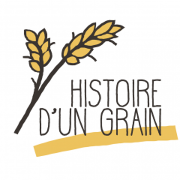 Logo Histoire D Un Grain